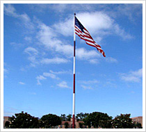 Paterson Brothers Commercial Lighting Installation