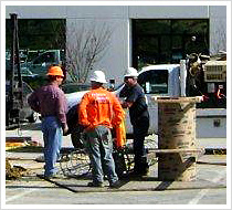 Paterson Brothers Commercial Lighting Installation