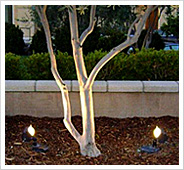 Low Voltage Lighting Installation