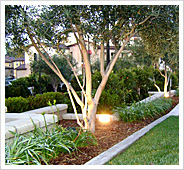 Solar Lighting Installation